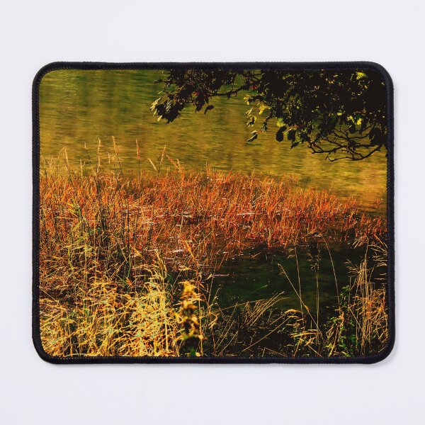 Item preview, On Golden Pond. Digitally enhanced reedbed on a pond of water. designed and sold by prestongeorge.