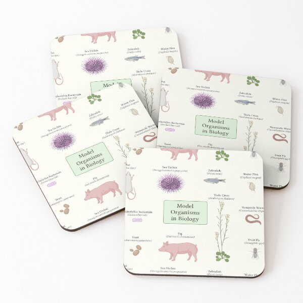 Item preview, Model Organisms in Biology designed and sold by squishdesigns.