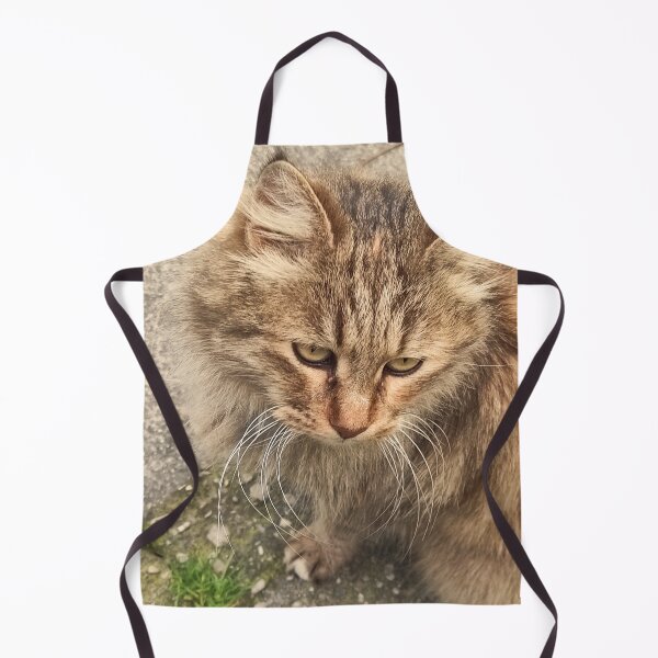 Item preview, Sad Street Cat – Worried Look designed and sold by branaghbel.