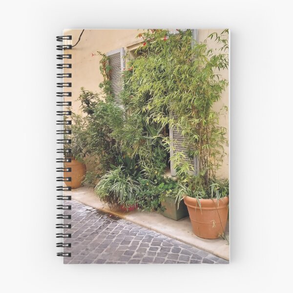 Item preview, Pedestrian street in Cassis in the off-season designed and sold by Leuil.