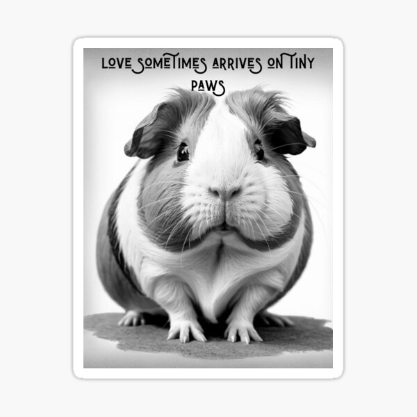 guinea pig love Sticker