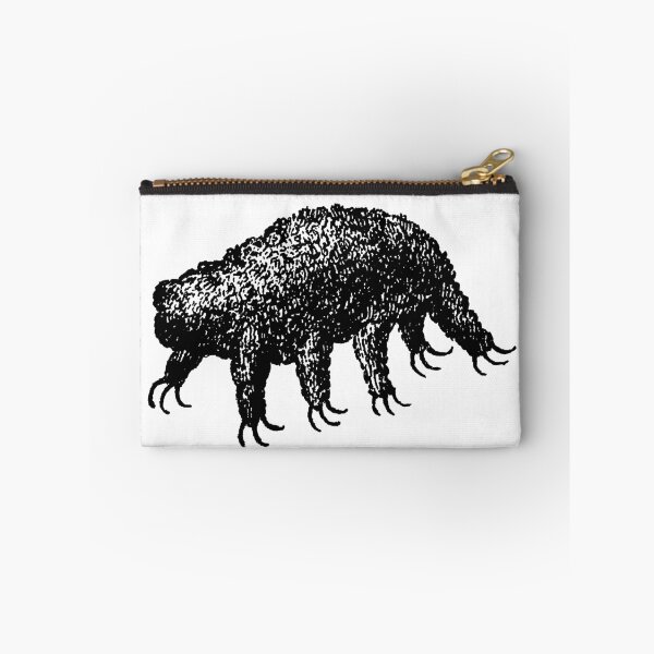 Item preview, Tardigrade or water bear earliest drawing designed and sold by BERGULATOR.