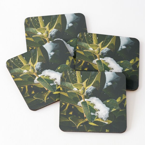 Item preview, Green Bush in Snowfall designed and sold by Luka Šper.