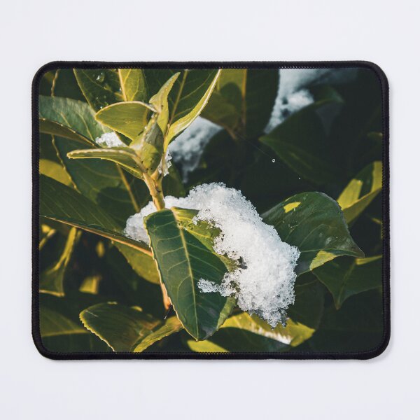 Item preview, Green Bush in Snowfall designed and sold by Luka Šper.
