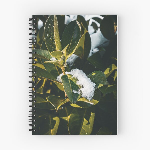 Item preview, Green Bush in Snowfall designed and sold by Luka Šper.