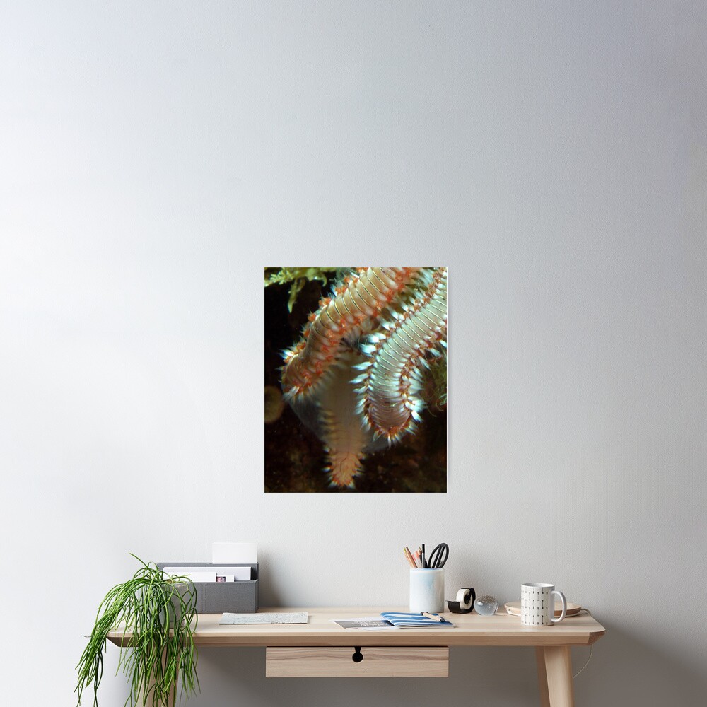 Item preview, Poster designed and sold by racoon.