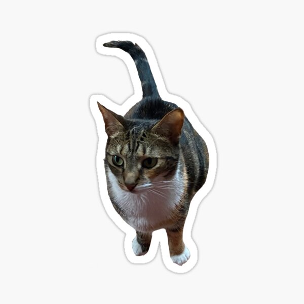 Ethene Sticker