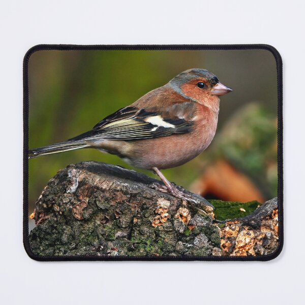 Item preview, Chaffinch designed and sold by Tom McPherson Photography.