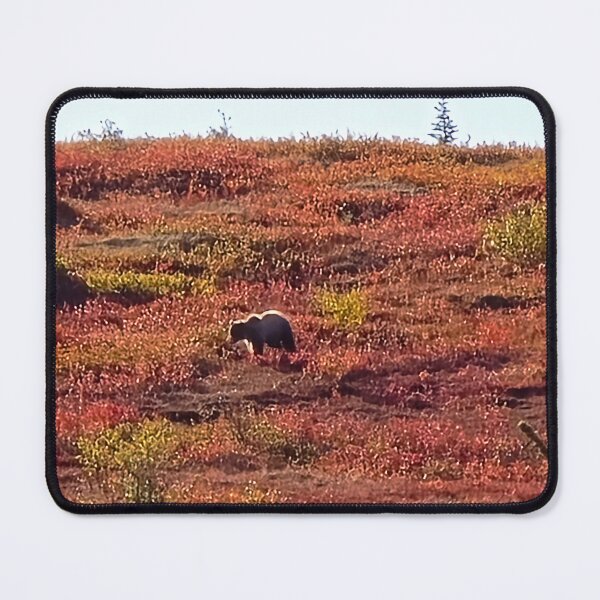 Item preview, Grizzly in Denali designed and sold by Amanda Huggins.