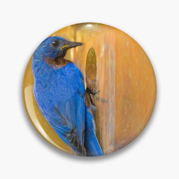 Item preview, Daddy Bluebird designed and sold by Kay Brewer.