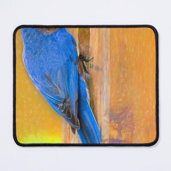 Item preview, Daddy Bluebird designed and sold by Kay Brewer.