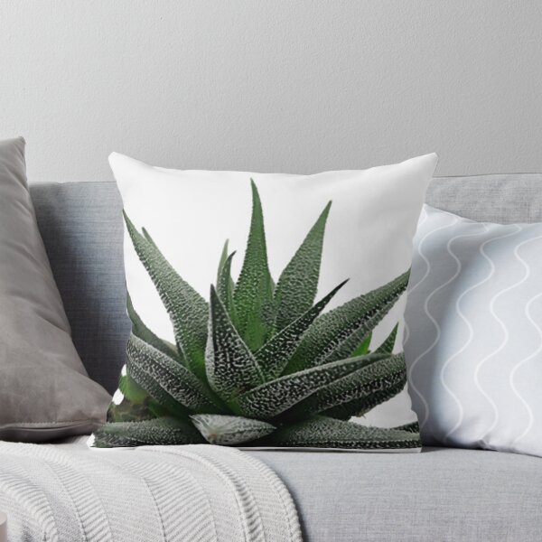 Artikelvorschau, Aloe Vera Kaktus entworfen und verkauft von AA-designstore.