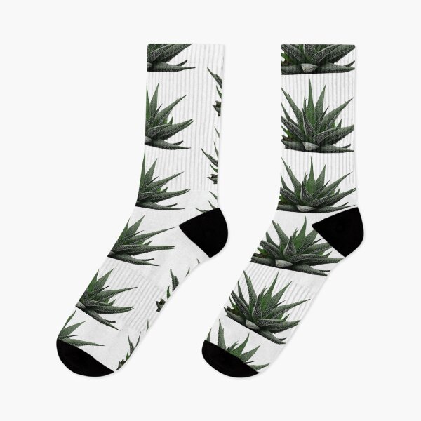 Artikelvorschau, Aloe Vera Kaktus entworfen und verkauft von AA-designstore.