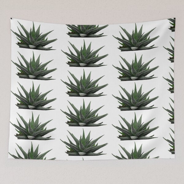 Artikelvorschau, Aloe Vera Kaktus entworfen und verkauft von AA-designstore.