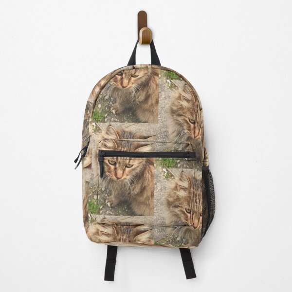 Item preview, Sad Street Cat – Worried Look designed and sold by branaghbel.