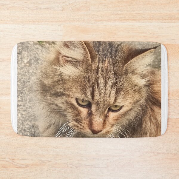 Item preview, Sad Street Cat – Worried Look designed and sold by branaghbel.
