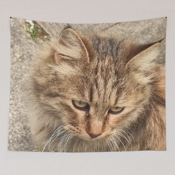 Item preview, Sad Street Cat – Worried Look designed and sold by branaghbel.