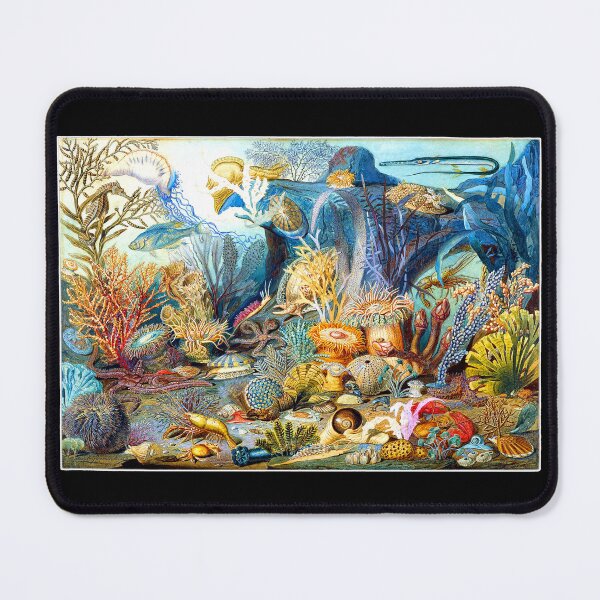 Item preview, Ocean Life 1859 James M. Sommerville designed and sold by RocketshipRetro.