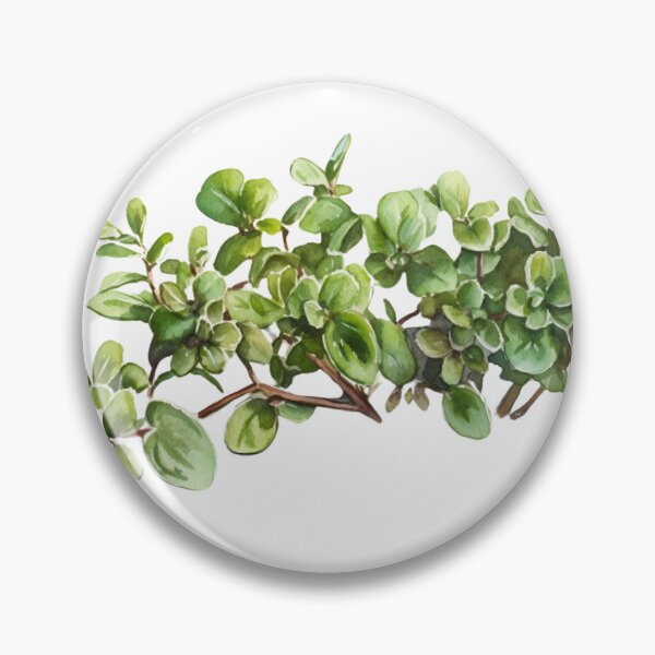 Item preview, Marjoram Herb Watercolour - Darla's Edible Forage designed and sold by DarlaEdnaFleur.