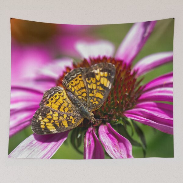 Item preview, Crescent Butterfly Enjoying A Coneflower designed and sold by Debra Martz.
