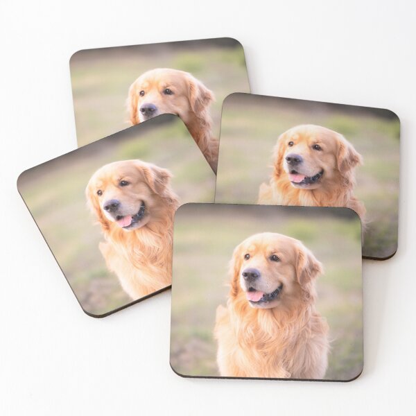 Item preview, Po, the cute golden retriever dog designed and sold by claudiacontena.