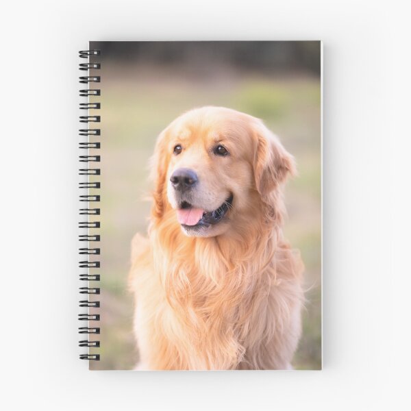 Item preview, Po, the cute golden retriever dog designed and sold by claudiacontena.