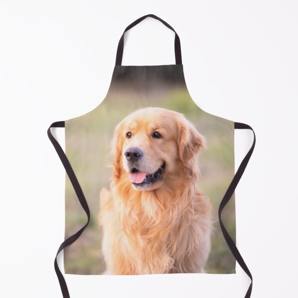Item preview, Po, the cute golden retriever dog designed and sold by claudiacontena.