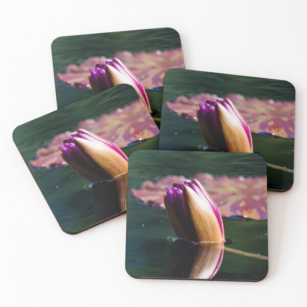 Item preview, FLOTAR designed and sold by adumont1.