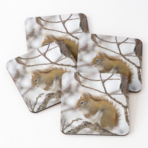 Item preview, RED SQUIRREL designed and sold by adumont1.
