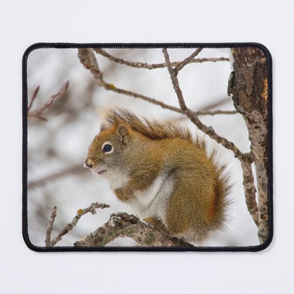 Item preview, RED SQUIRREL designed and sold by adumont1.