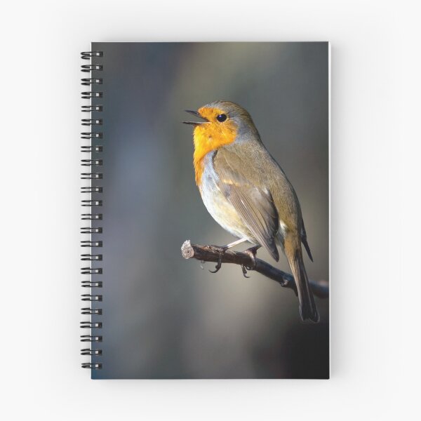 Item preview, The Robin designed and sold by Tom McPherson Photography.