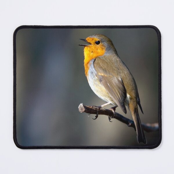 Item preview, The Robin designed and sold by Tom McPherson Photography.
