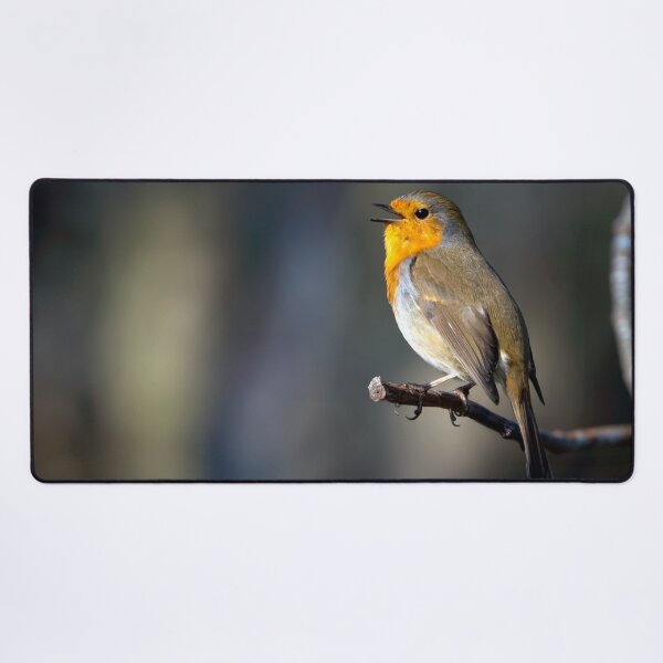 Item preview, The Robin designed and sold by Tom McPherson Photography.