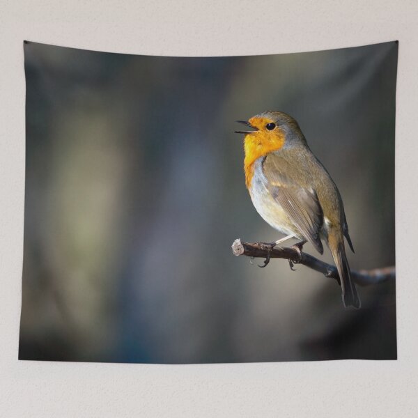 Item preview, The Robin designed and sold by Tom McPherson Photography.