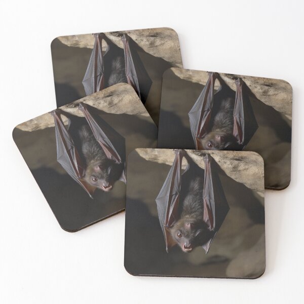 Item preview, Scary Bat Hanging Upside Down in a Cave designed and sold by pmah26.