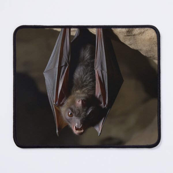 Item preview, Scary Bat Hanging Upside Down in a Cave designed and sold by pmah26.