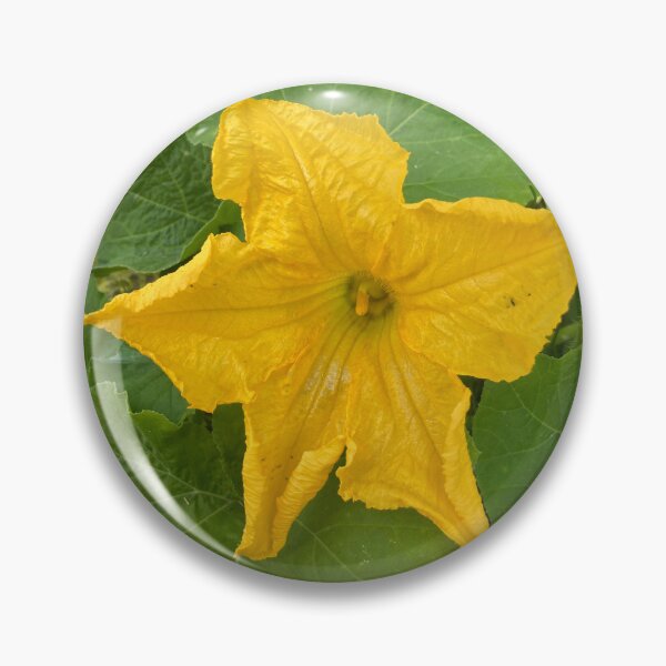 Item preview, Big Squash Flower designed and sold by Amanda1775.