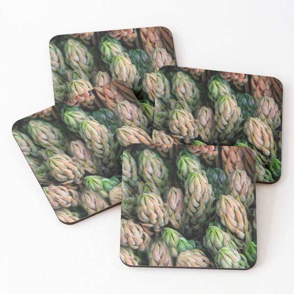 Item preview, Suddenly Sedum! designed and sold by heatherfriedman.