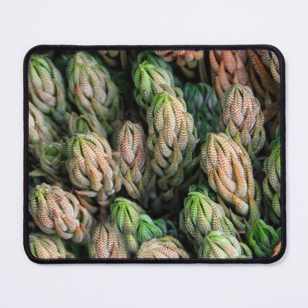 Item preview, Suddenly Sedum! designed and sold by heatherfriedman.