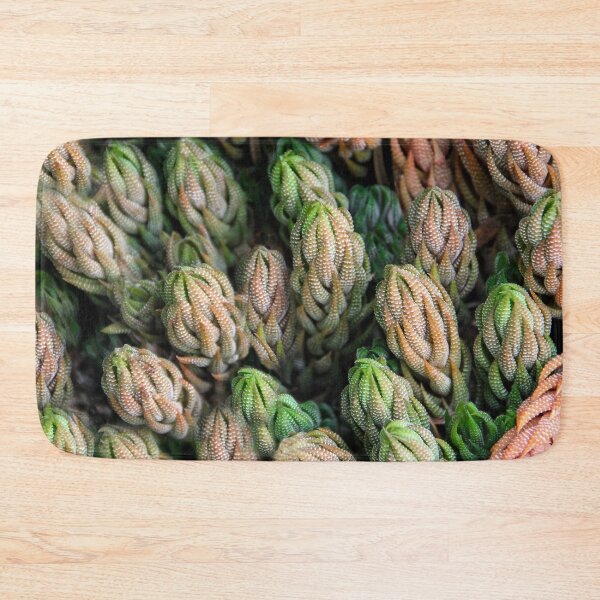 Item preview, Suddenly Sedum! designed and sold by heatherfriedman.