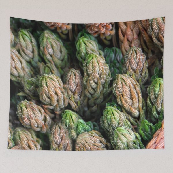 Item preview, Suddenly Sedum! designed and sold by heatherfriedman.