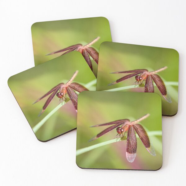 Item preview, Neurothemis stigmatizans - The Painted Grasshawk designed and sold by AvianAdventures.