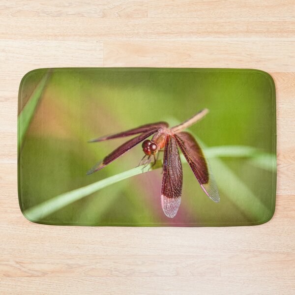 Item preview, Neurothemis stigmatizans - The Painted Grasshawk designed and sold by AvianAdventures.