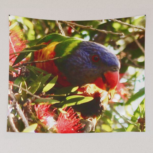 Item preview, Lorikeet! designed and sold by Mickangelhere.