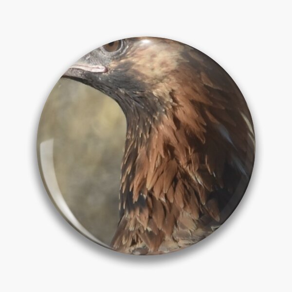 Item preview, Wedge tailed eagle designed and sold by Baldphotography.