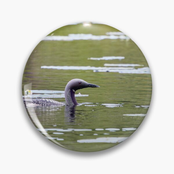 Item preview, Black-throated loon on the green water designed and sold by Jouko Lehto Photography.