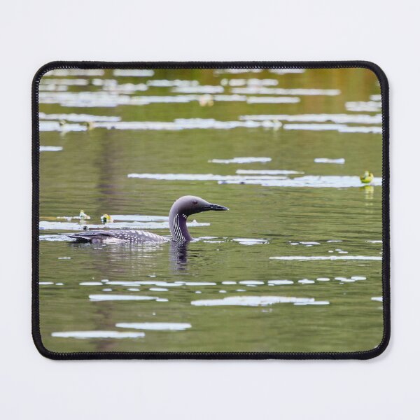 Item preview, Black-throated loon on the green water designed and sold by Jouko Lehto Photography.