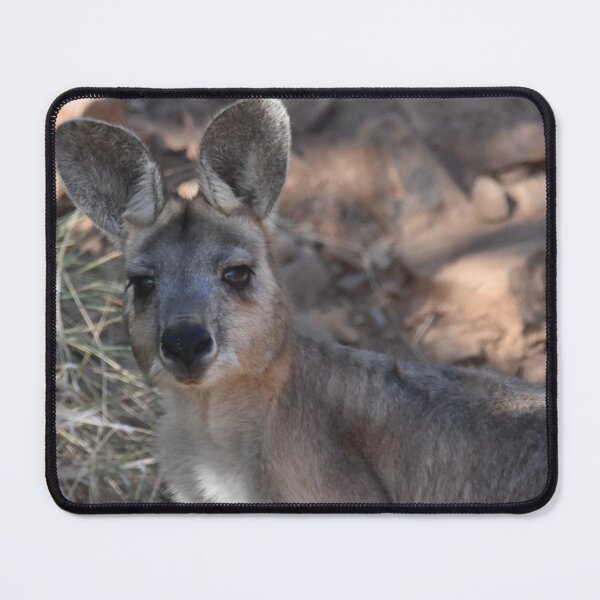 Item preview, Roo designed and sold by Baldphotography.