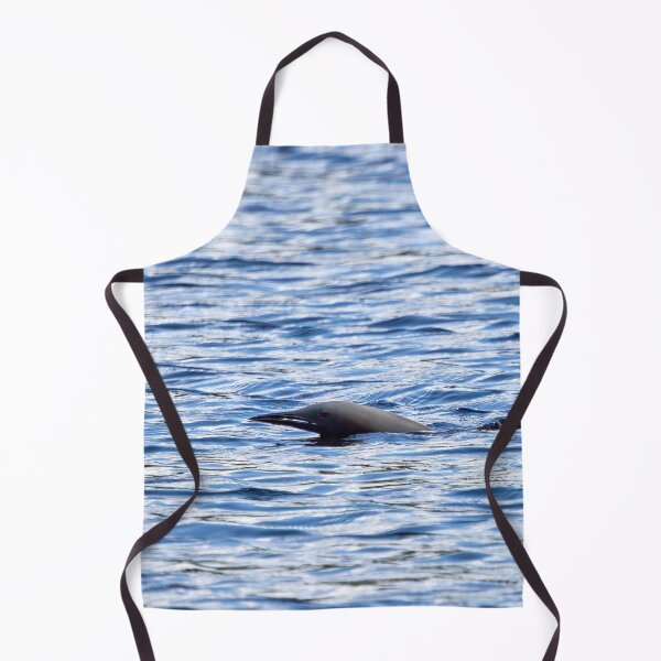 Item preview, Splash. Black-throated loon designed and sold by Jouko Lehto Photography.