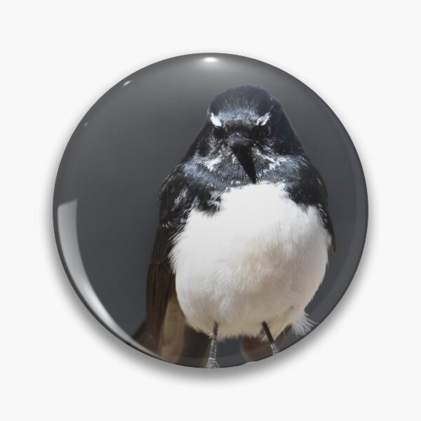Item preview, Bird designed and sold by Baldphotography.